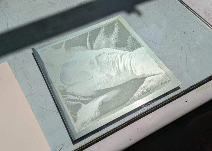 PXL_20230608_115643431